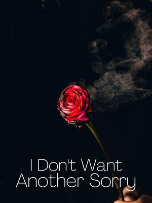 cover image of I Don't Want Another Sorry